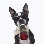 Squeaky Cigar Dog Toy – Durable Plush Chew Toy for Dogs